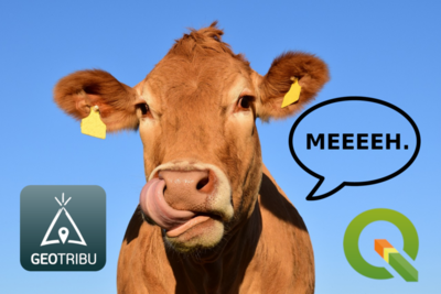 cow