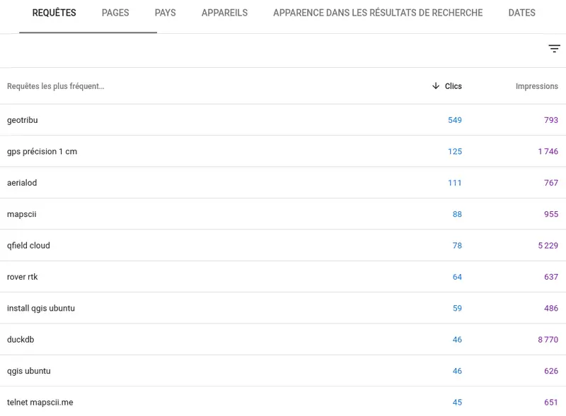 Google Search Console - Top 10 2024 des requêtes