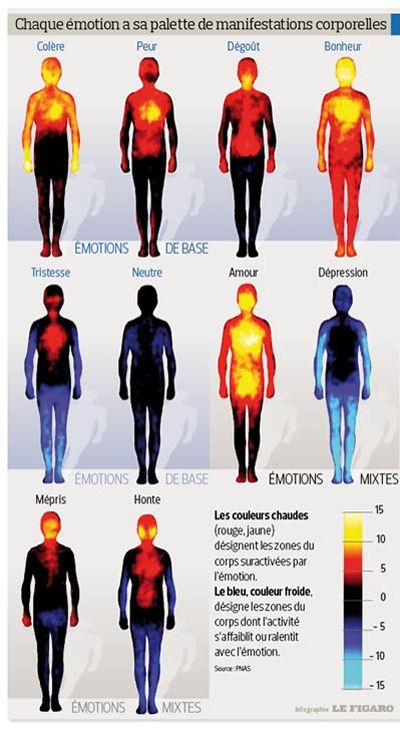 Carte corporelle des émotions