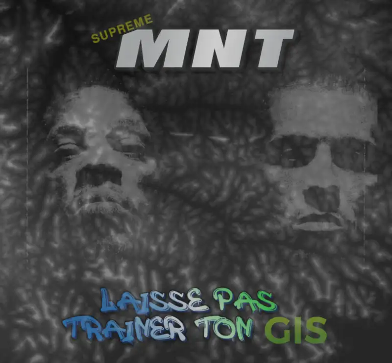 Suprême MNT - Laisse pas traîner ton GIS