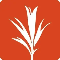 logo Development Seed