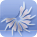 Logo ForumSIG